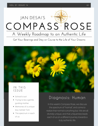 The Compass Rose Volume 01 Issue 14