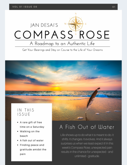 The Compass Rose Volume 01 Issue 08