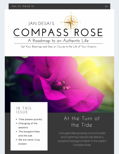The Compass Rose Volume 01 Issue 13